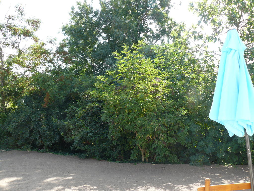 Les Plenitudes Du Rivage Villa แซงต์-วันซองต์-ซัวร์-จาร์ ภายนอก รูปภาพ
